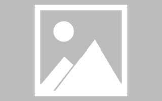 云梦新区景区网站建设（in art criticism,you must assume）